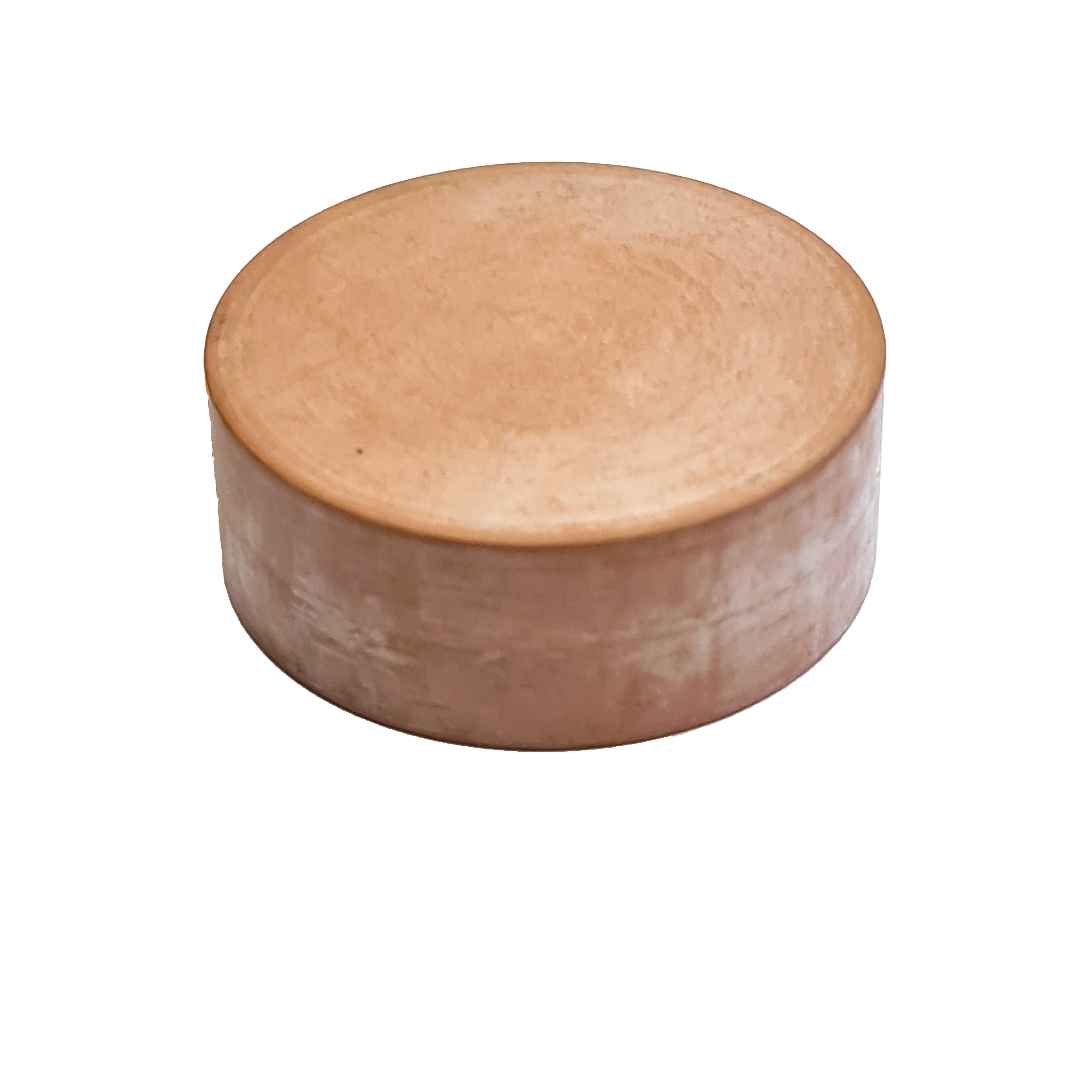 Puck Backventil 27x10