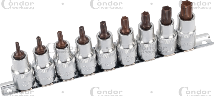 Hylsbits xcess performance Torx  