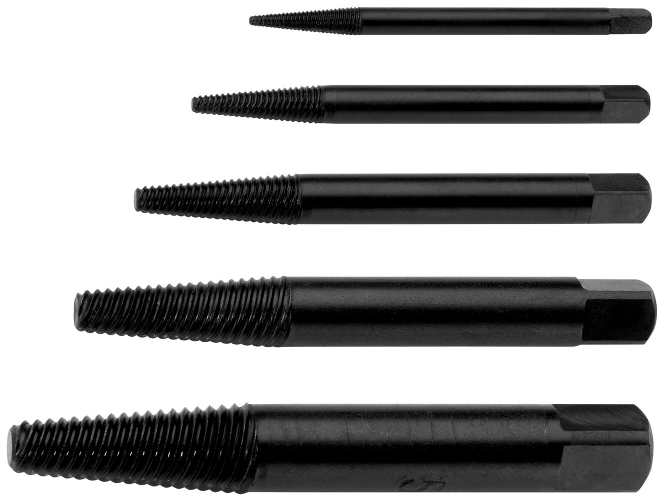 Rennsteig Skruvutdragarsats M3-m18