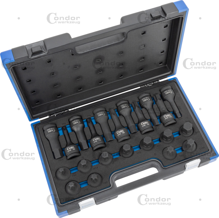 Krafthylsbits torx / insex 22 del