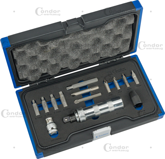 Bit Sortiment med Slagmejsel, 14 delar., Insex med överdimension