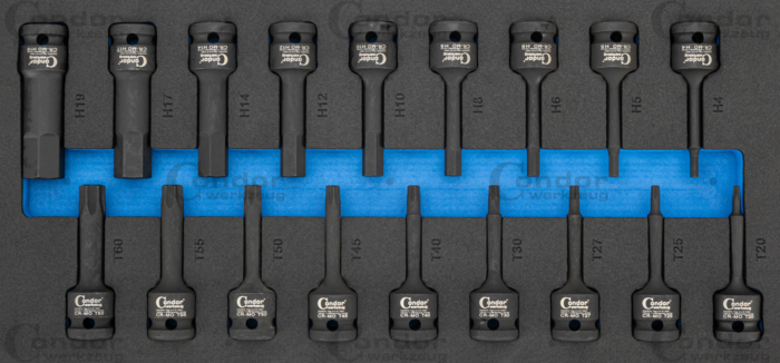 Torx och Insex Krafthylsa Set i Foam 1/3, 18 delar., 1/2"