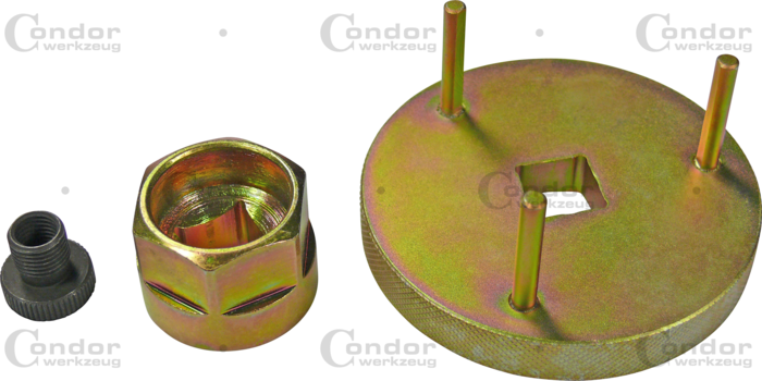 Bränslepump Inställningsverktyg, Renault 1.9 F8Q/F9Q