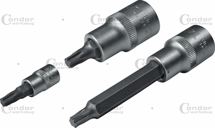 Torx Hylsbits