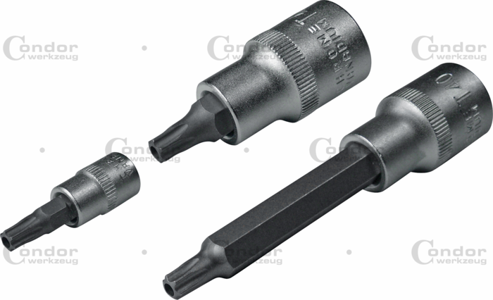 Torx Hylsbits