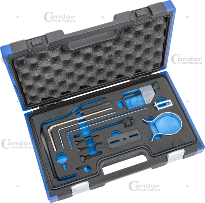 Nollställningsverktyg Set, Citroen / Peugeot