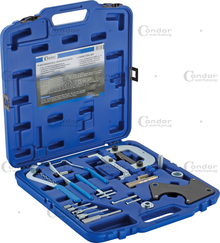 Nollställningsverktyg Set, Renault