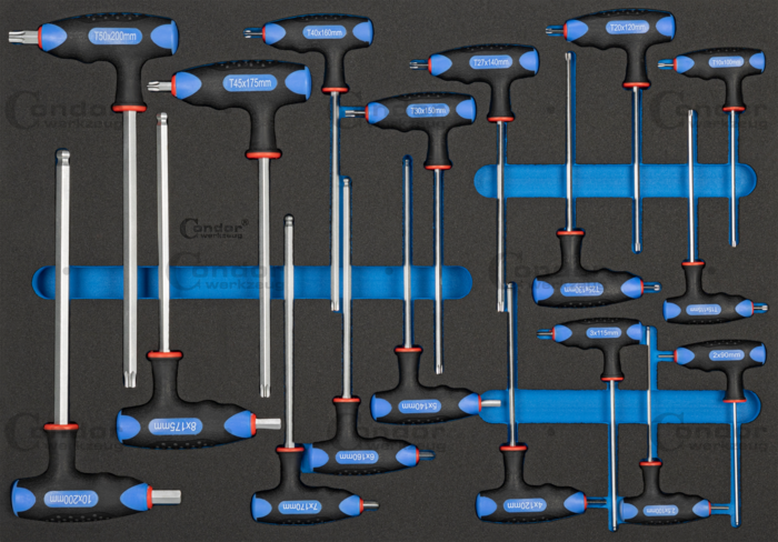 T-Handtag Nyckel Set i Foam 3/3, 18 delar., Insex + Torx