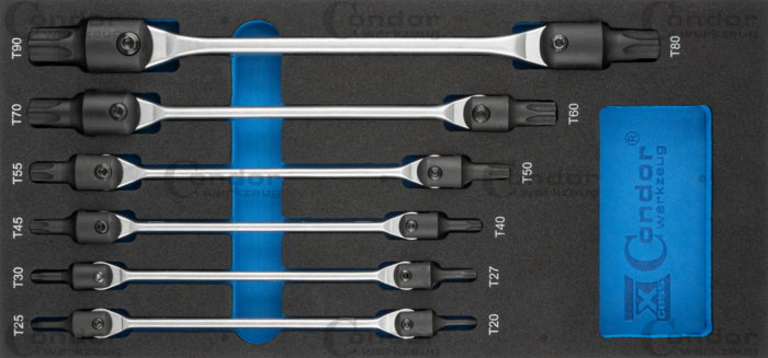 Dubbel Lednyckel Set i Foam 1/3, 6 del., torx T20-90