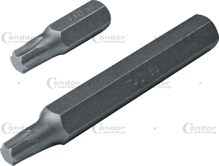 Torx Bits