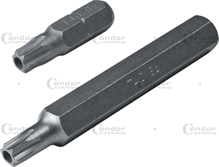 Torx Hylsbits Manipuleringssäker