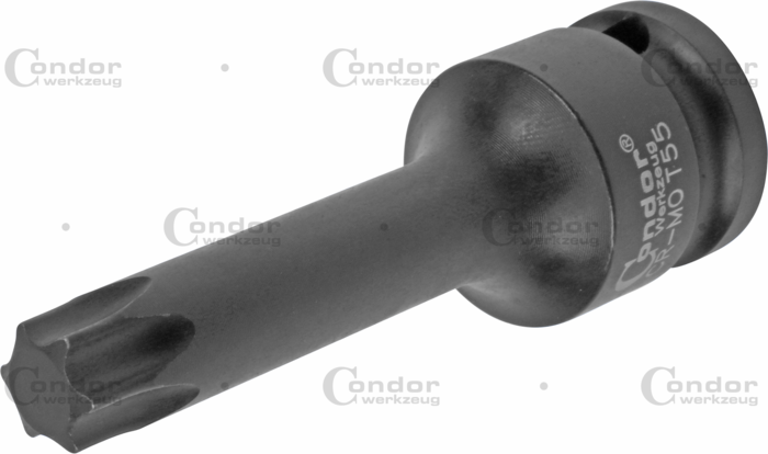 Torx Krafthylsa Bits