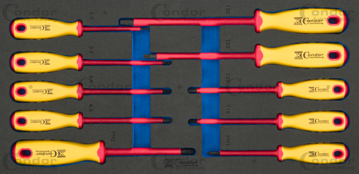 Skruvmejsel Set i Foam 1/3, 10 delar.,